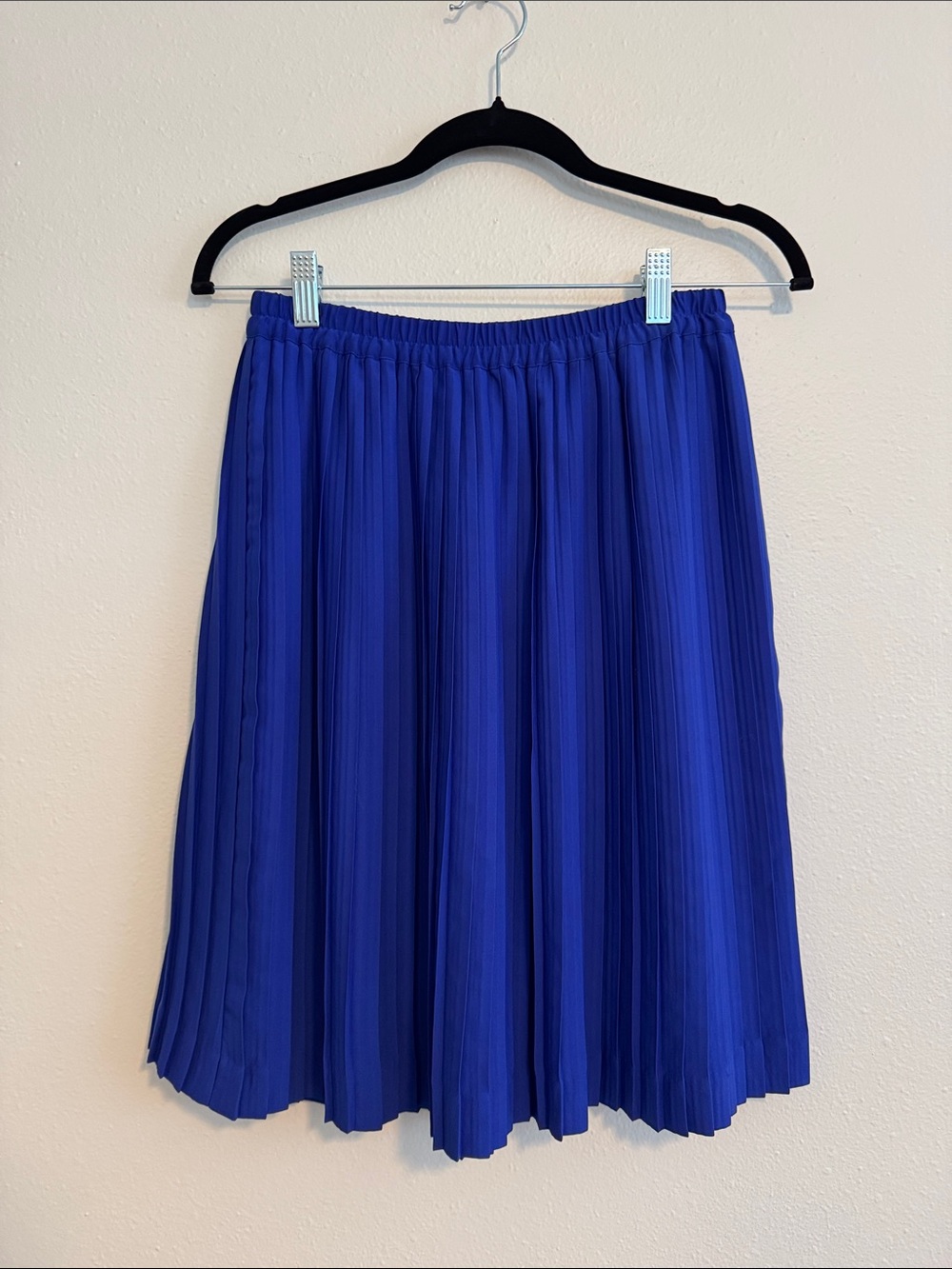Banana Republic Pleated Skirt